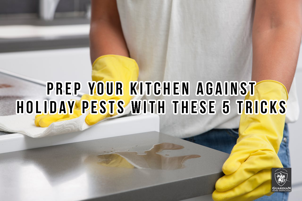 Kitchen pests
